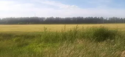 Участок в Кировская область, Слободской район, Ленинское с/пос, д. ...