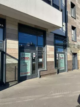 Помещение свободного назначения в Санкт-Петербург ул. Владимира ...
