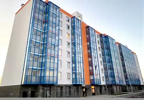 Студия Ленинградская область, Всеволожский район, Заневское городское ...