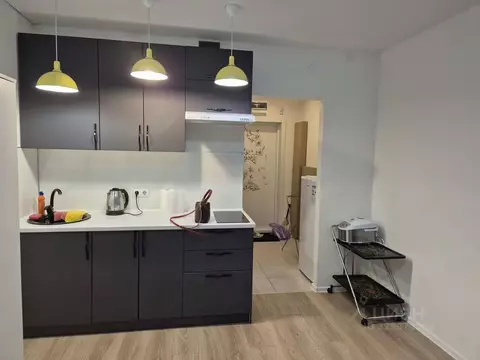 Студия Москва Просторная ул., 7 (24.0 м)