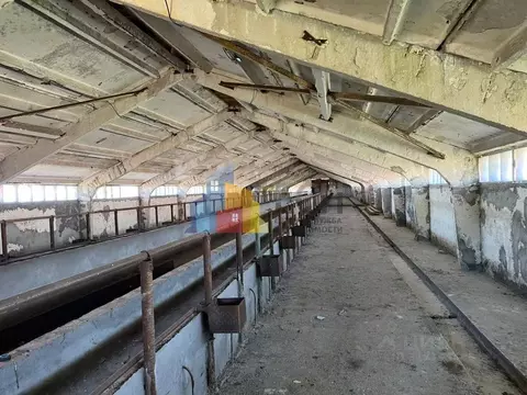 Помещение свободного назначения в Тульская область, Киреевский район, ...