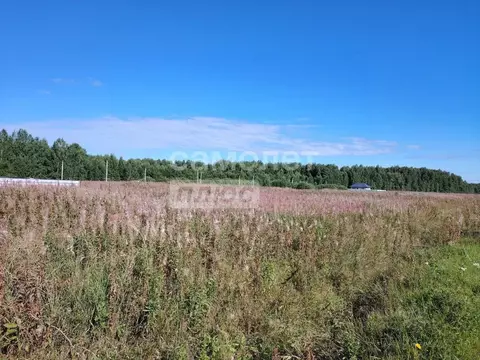 Участок в Тюменская область, Тюменский район, с. Кулига, Кулига-2 мкр  ...