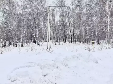 Участок в Омская область, Омский район муниципальный округ, д. ...
