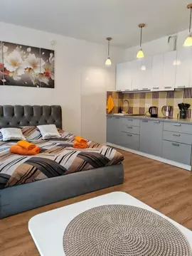 Студия Московская область, Одинцово ул. Каштановая, 16 (27.0 м)