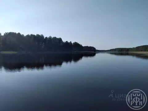 Участок в Ленинградская область, Приозерский район, Красноозерное ...
