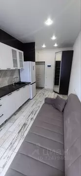 Студия Краснодарский край, Сочи ул. Ленина, 290/7к2 (28.0 м)