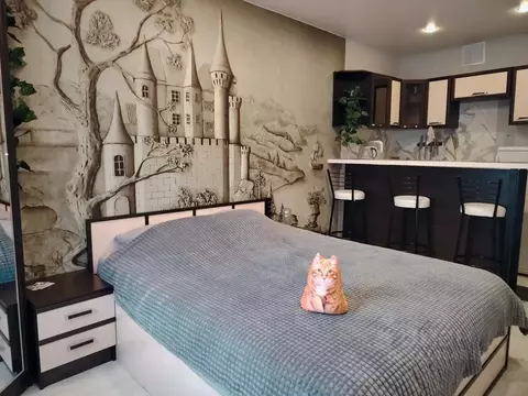 Студия Ленинградская область, Выборг ул. Сторожевой Башни, 9 (23.0 м)