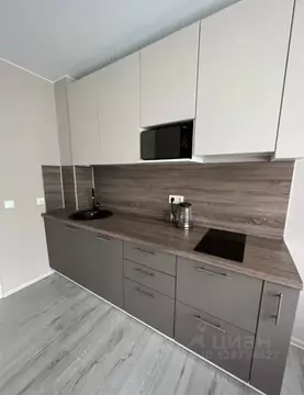 Студия Санкт-Петербург Комендантский просп., 57к1 (25.0 м)