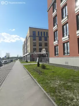 Квартира-студия: Шушары, улица Нины Петровой, 9 (25.88 м)