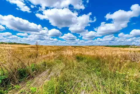 Участок в Московская область, Солнечногорск городской округ, д. ...