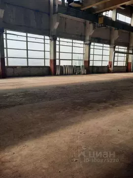 Производственное помещение в Ульяновская область, Димитровград ...