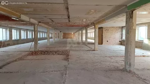 Производственное помещение (2747 м)