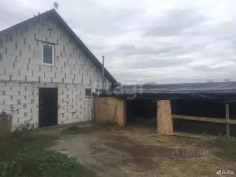 Помещение свободного назначения в Белгородская область, Губкинский ...