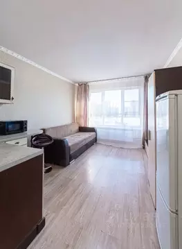 Студия Московская область, Ленинский городской округ, Лопатино пгт ул. ...