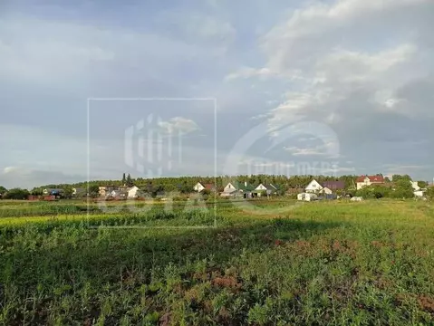 Участок в Воронежская область, Рамонский район, Новоживотинновское ...