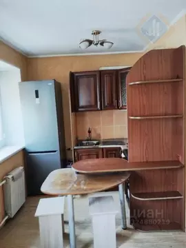 1-к кв. Приморский край, Партизанский муниципальный округ, с. Золотая ...