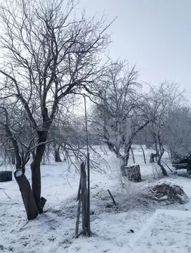 Участок в Тульская область, Тула Щекинское ш., 44 (10.0 сот.)