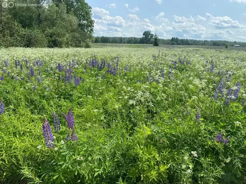 Участок в Московская область, городской округ Клин, деревня Вертково, ...