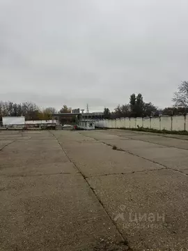 Помещение свободного назначения в Москва Рябиновая ул., 40С2 (500 м)