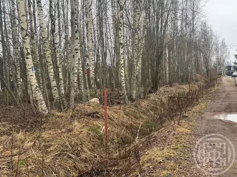 Участок в Ленинградская область, Ломоносовский район, Пениковское ...