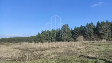 Участок в Тамбовская область, Тамбовский муниципальный округ, с. Лысые ...