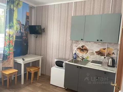 Студия Московская область, Коломна городской округ, с. Лукерьино 69 ...