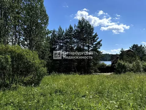 Участок в Ленинградская область, Приозерский район, Кузнечнинское ...