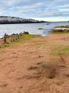 Участок в Ленинградская область, Приозерский район, Красноозерное ...