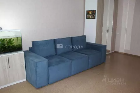 2-к кв. Новосибирская область, Новосибирск ул. Татьяны Снежиной, 19/1 ...