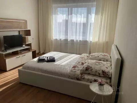 1-к кв. Московская область, Ногинск Богородский городской округ, ул. ...