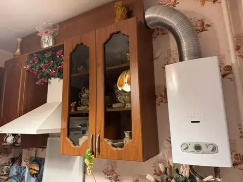 1-к кв. Воронежская область, с. Новая Усмань ул. Центральная, 7 (33.3 ...