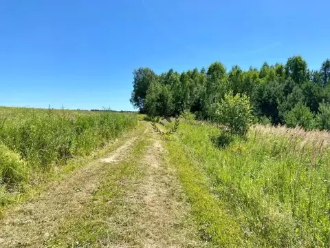 Участок в Калужская область, Дзержинский район, Галкино с/пос, д. ...