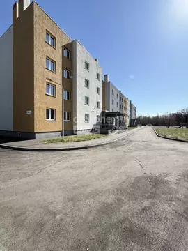 3-к кв. Самарская область, Сызрань пос. Новокашпирский, ул. ...