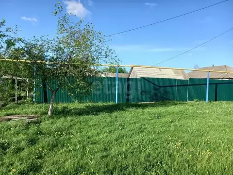 Дом в Белгородская область, Губкинский городской округ, с. Истобное ...