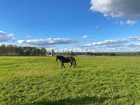 Участок в Калужская область, Жуковский муниципальный округ, Высокиничи ...