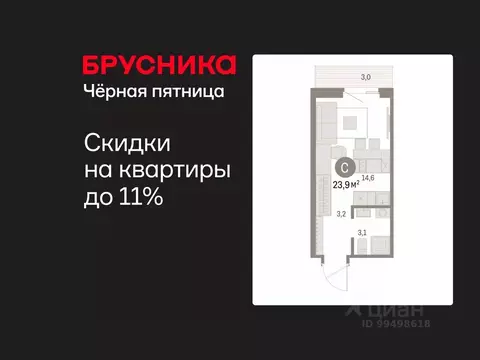 Студия Курганская область, Курган Центральный жилрайон, Дом Кино жилой ...