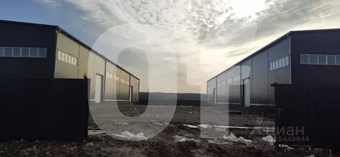 Склад в Московская область, Старая Купавна Богородский городской ...