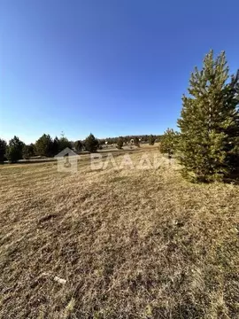 Участок в Бурятия, Кабанский район, с. Сухая  (5.0 сот.)