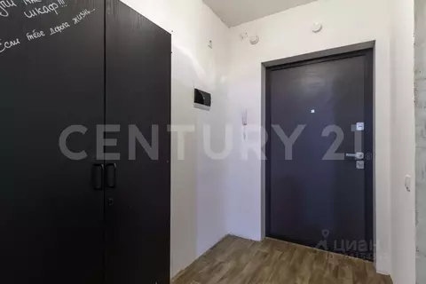 Студия Санкт-Петербург пос. Шушары, просп. Новгородский, 2к3 (25.3 м)