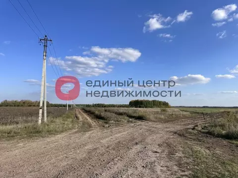 Участок в Тюменская область, Тюменский муниципальный округ, с. Ембаево ...