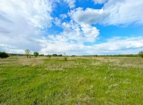 Участок в Свердловская область, Дегтярск  (100.0 сот.)