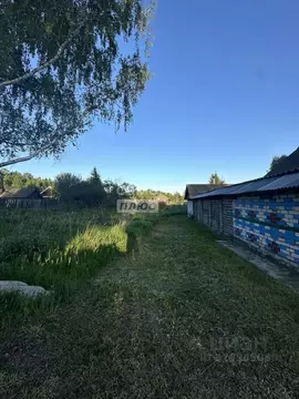 Участок в Нижегородская область, Бор муниципальный округ, д. Ильинское ...