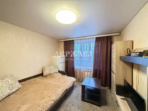 Комната Белгородская область, Старый Оскол ул. Калинина, 1/4 (13.2 м)