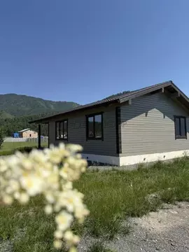 Дом в Алтай, Чемальский район, с. Чемал  (100 м)