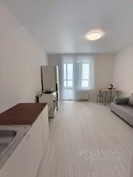 Студия Санкт-Петербург пос. Шушары, просп. Старорусский, 5к2 (19.0 м)