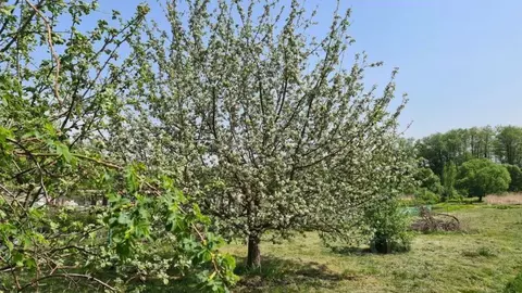 Дом в Тамбовская область, Тамбов городской округ, с. ...