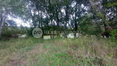 Участок в Рязанская область, Рыбновский район, Ходынинское с/пос, с. ...