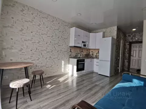 Студия Алтайский край, Барнаул ул. Антона Петрова, 221Д/1 (23.0 м)