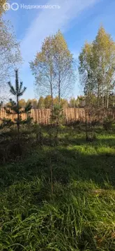 Участок в Свердловская область, Белоярский муниципальный округ, ...