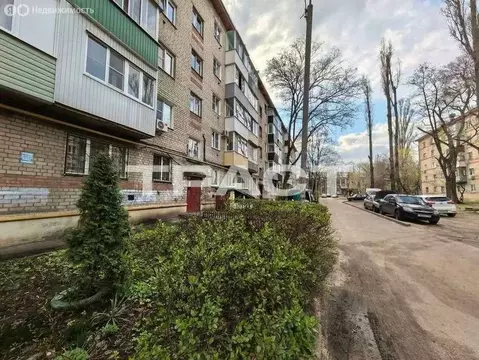 1-комнатная квартира: Воронеж, улица Туполева, 33 (30.4 м)